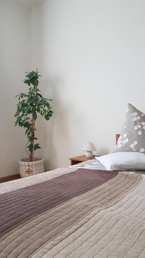 Topart Apartman タポルツァ エクステリア 写真